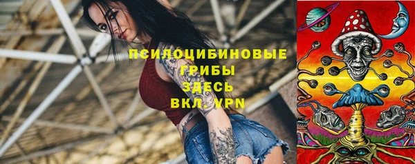 a pvp Богданович
